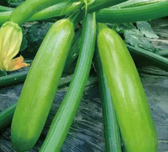 �߶����-�����J�N��-�߶˷N�I(y��)