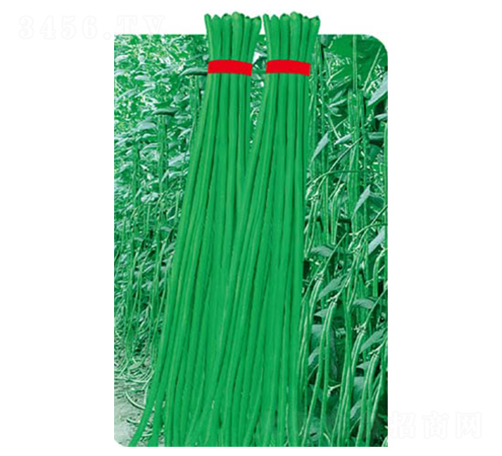 ��(sh��)���L(zh��ng)��-���ǷN��-�߶˷N�I(y��)