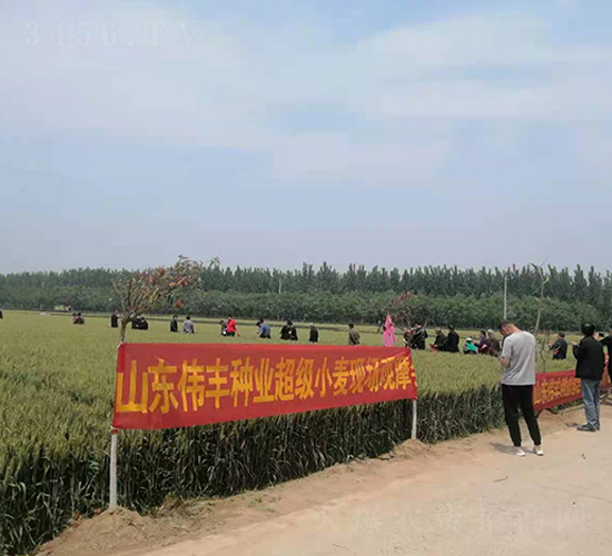 ɽ�|���S�N�I(y��)����С���F(xi��n)���^Ħ��