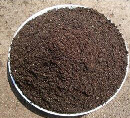 �o��������|(zh��)-�ݸ����B(t��i)