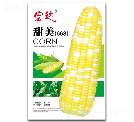 甜美668-玉米種子-宏達(dá)