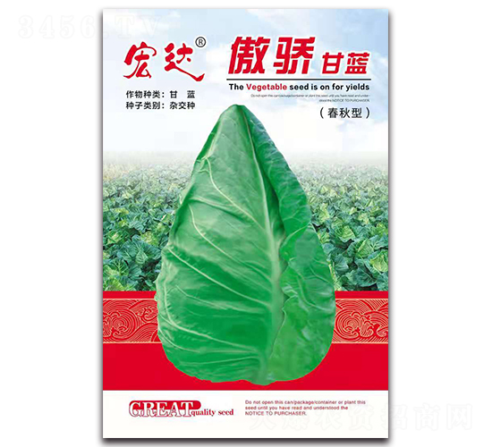 �����{(l��n)�������ͣ�-���{(l��n)�N��-���_(d��)