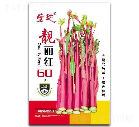 �n���t60F1-��̦�N��-���_(d��)