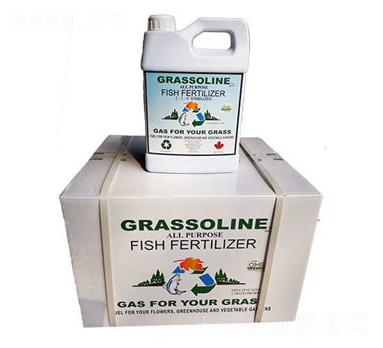 ���ô��M����q�~��-��Ŭ��-�f��