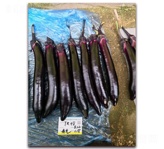 �����L��-���ӷN��-�A�~�N�I(y��)