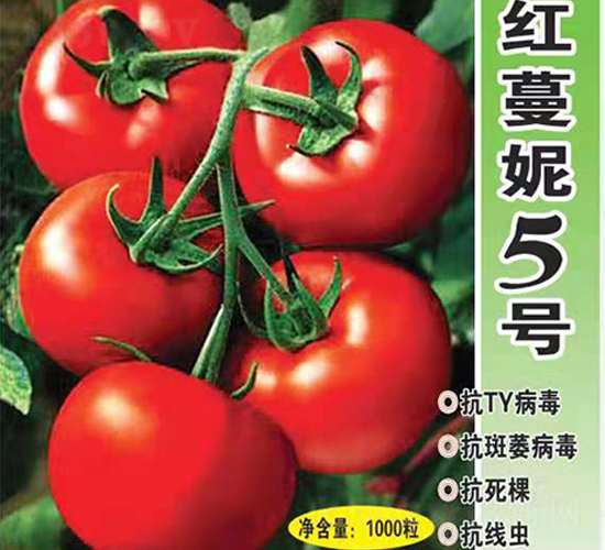 紅蔓妮5號-西紅柿種子-英格蘭仕
