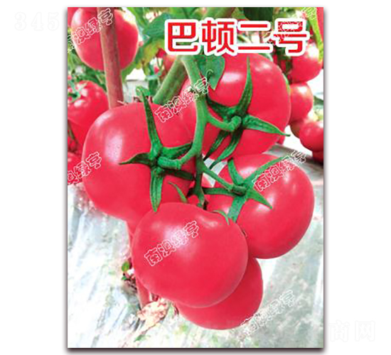 ���D��̖-�۹����ѷN��-�ϰľG��