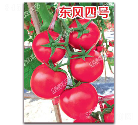 �|�L(f��ng)��̖(h��o)-�۹����ѷN��-�ϰľG��