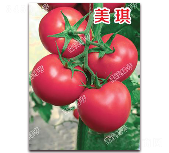 ����-�۹����ѷN��-�ϰľG��