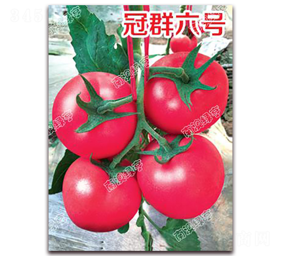 ��Ⱥ��̖(h��o)-�۹����ѷN��-�ϰľG��