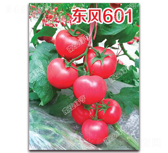 �|�L(f��ng)601-�۹����ѷN��-�ϰľG��