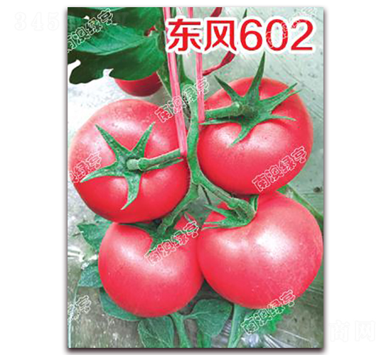 �|�L(f��ng)602-�۹����ѷN��-�ϰľG��