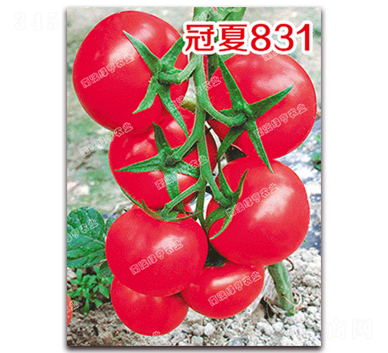 ����831-�۹����ѷN��-�ϰľG��