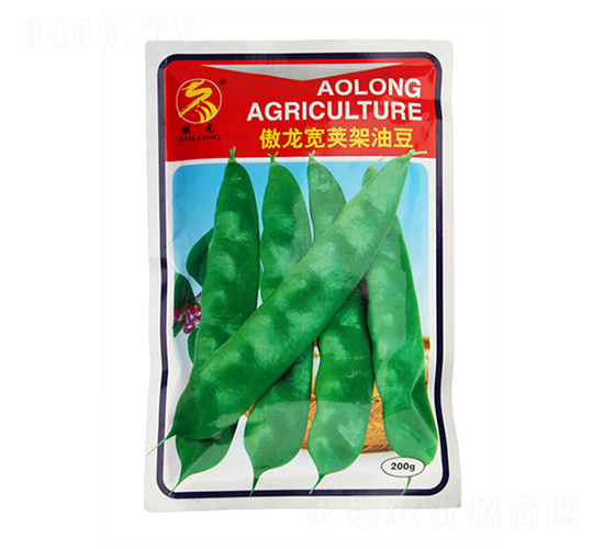 �������v���Ͷ�-�Ͷ��N��-����