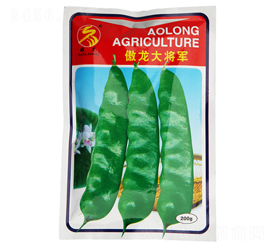 ������܊-�Ͷ��N��-����