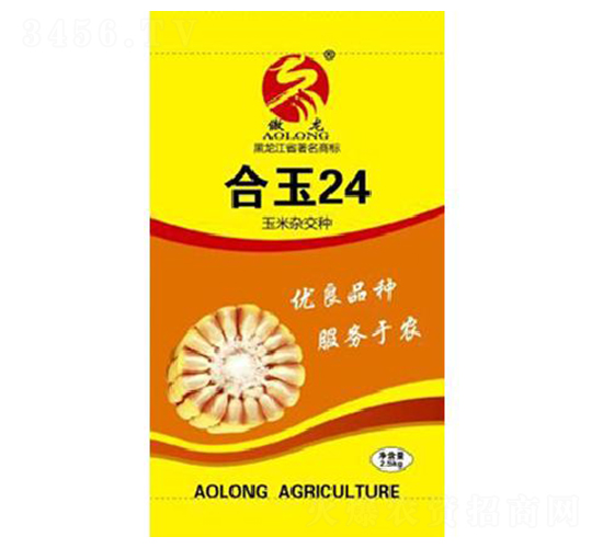 ����24-���׷N��-����