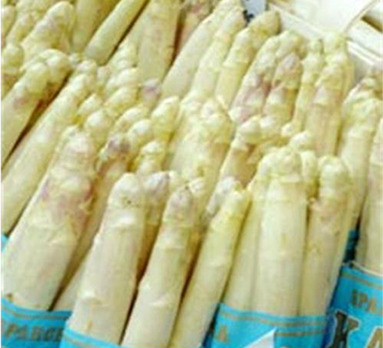 2000-5F1-�J�S�N��-��T�S�r(n��ng)�I(y��)