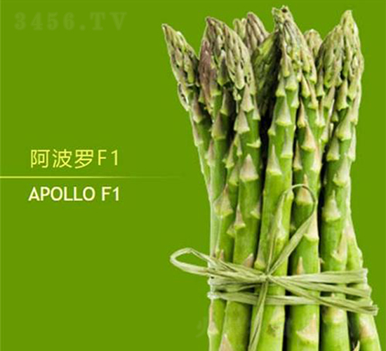 �����_F1-�J�S�N��-��T�S�r(n��ng)�I(y��)