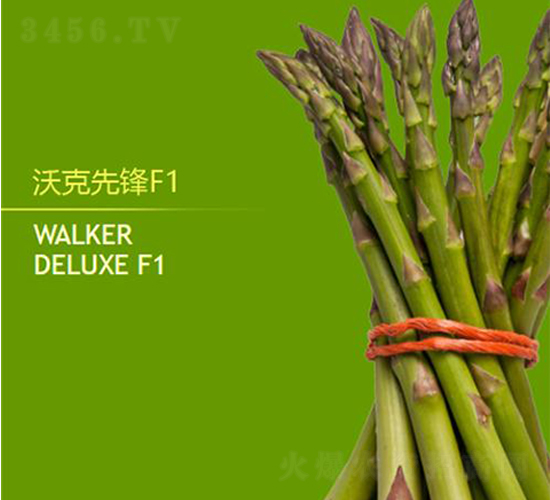 �ֿ����hF1-�J�S�N��-��T�S�r(n��ng)�I(y��)