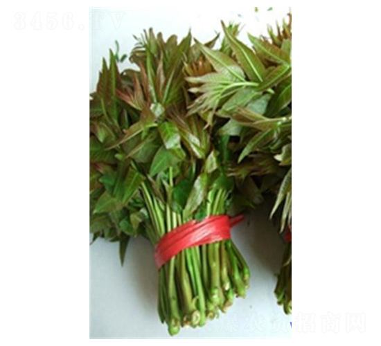 �㴻�N��-��T�S�r(n��ng)�I(y��)