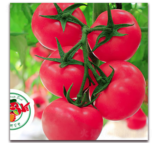 ���-�۹����ѷN��-����