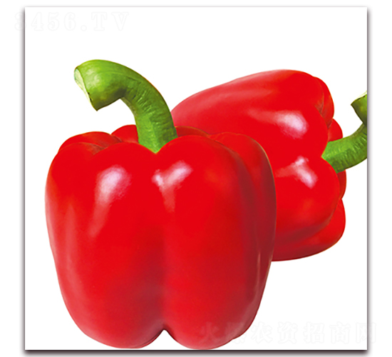 賽德威-甜椒種子-瑞盛元