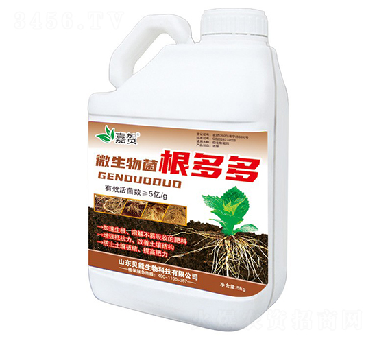 ΢����������-���R-ؐ������