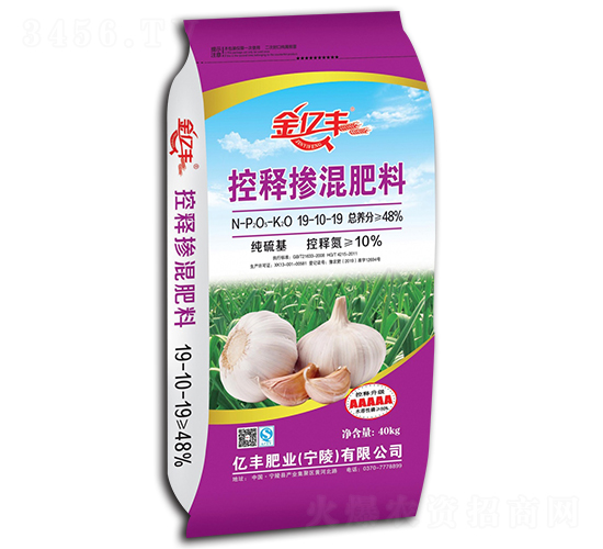 ��ጓ������19-10-19-�|�S�ʘI(y��)