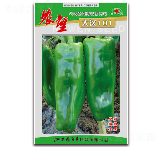 大漢101-泡椒種子-農(nóng)望