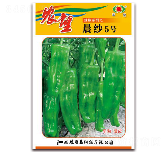 晨紗5號(hào)-泡椒種子-農(nóng)望