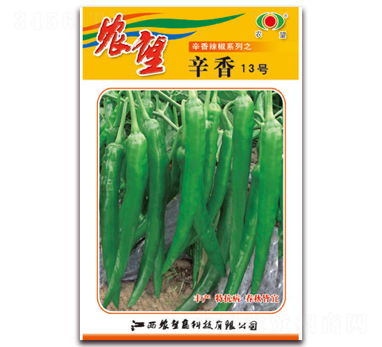 ����13̖-�⽷�N��-�r(n��ng)��