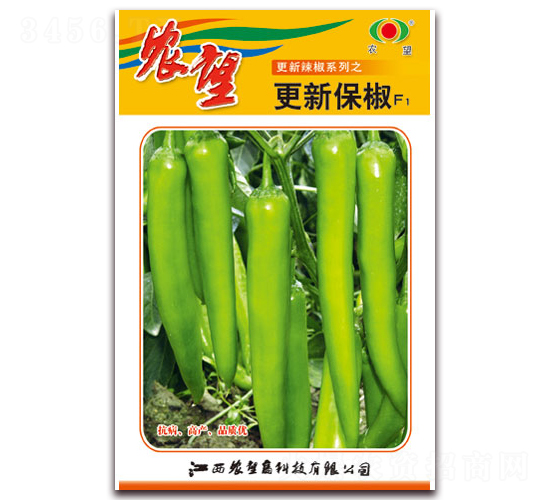 更新保椒-尖椒種子-農(nóng)望
