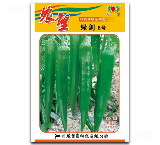綠劍8號-尖椒種子-農(nóng)望