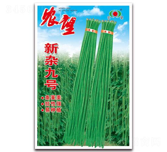 ���s��̖-�����N��-�r(n��ng)��