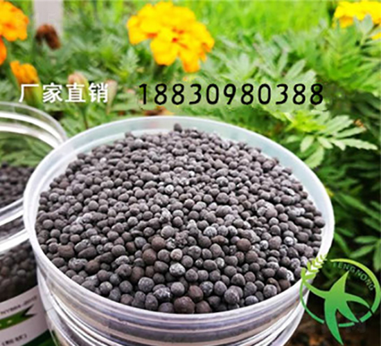 �������-���~��