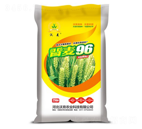 �x��96-С���N��-�����r�I(y��)