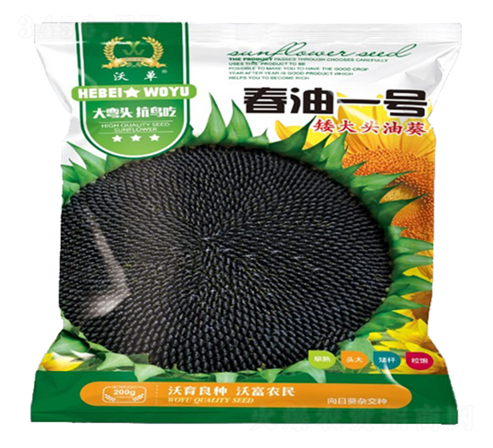 ����һ̖-���տ��N��-�����r(n��ng)�I(y��)