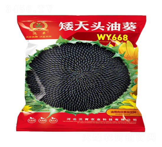 WY668-���տ��N��-�����r(n��ng)�I(y��)