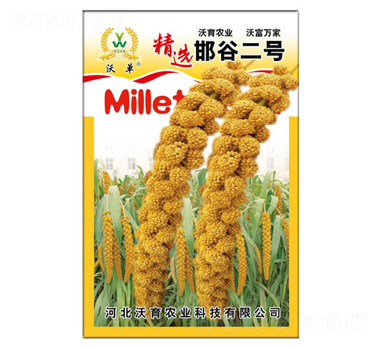 ����һ̖-ˮ���N��-�����r(n��ng)�I(y��)