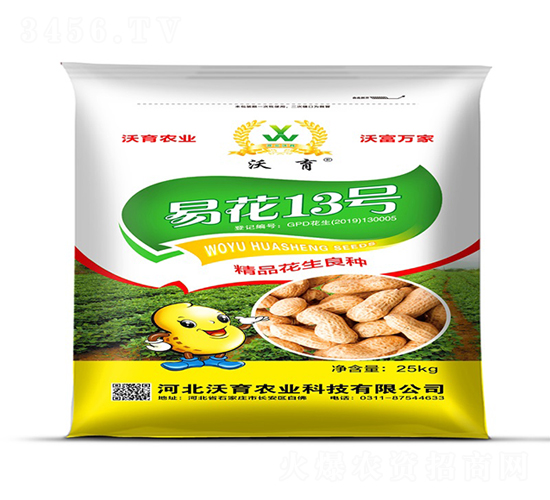 �׻�13̖(h��o)-�����N��-�����r(n��ng)�I(y��)