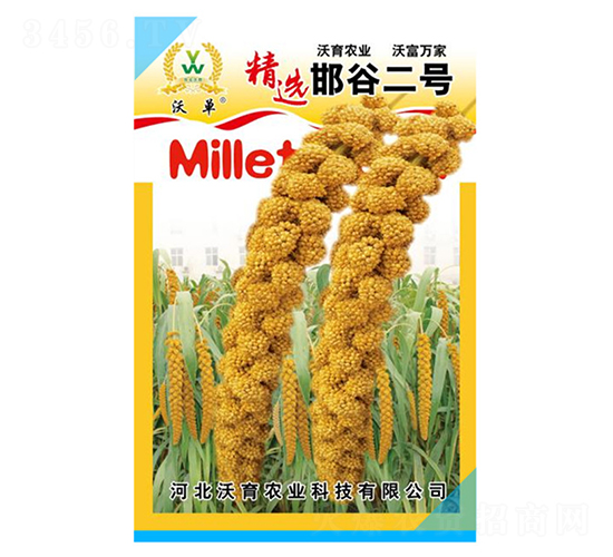 邯谷2號-水稻種子-沃育農(nóng)業(yè)