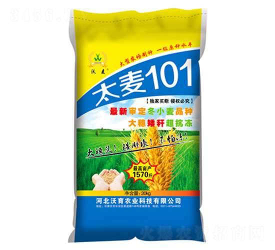 ̫��101-С���N��-�����r(n��ng)�I(y��)