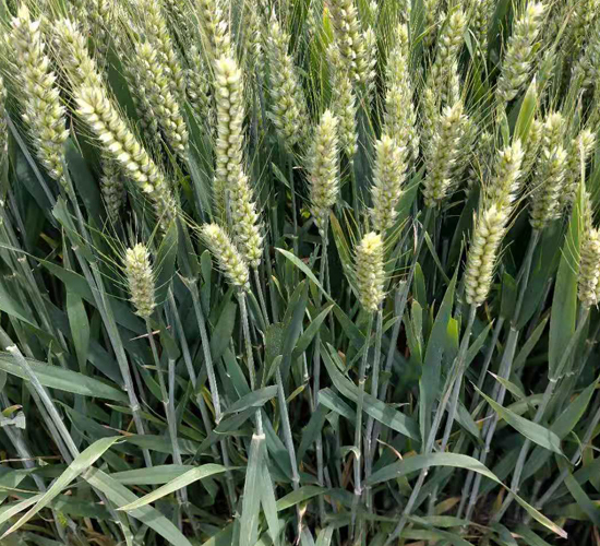 ����2000-С���N��-���\(y��n)�N�I(y��)