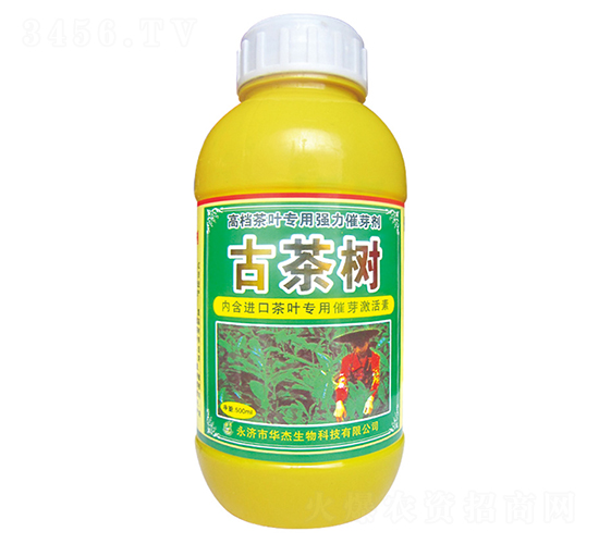 古茶樹-華杰生物