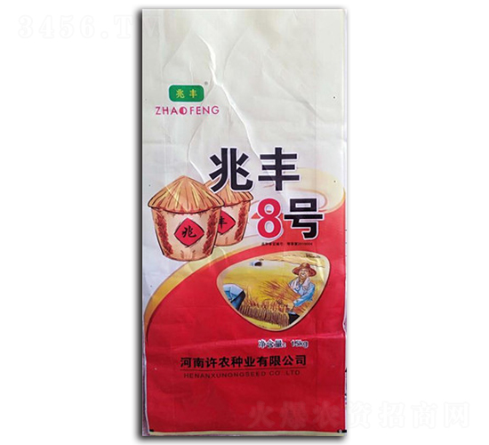 ���S8̖-С���N��-���S