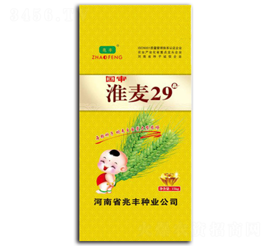 ����29-С���N��-���S