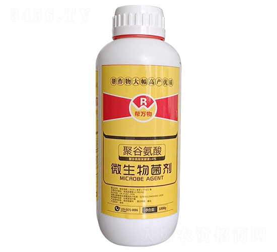 �۹Ȱ���΢�������-���f��