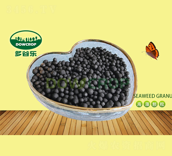 �����ЙC(j��)���w��-��Ș�