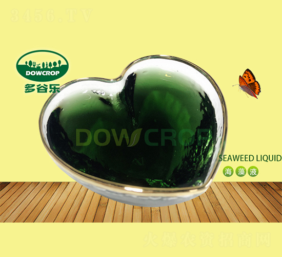 Һ�w�����-��Ș�