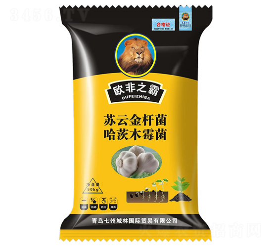 ������طN��-�W��֮��-���ݳ���